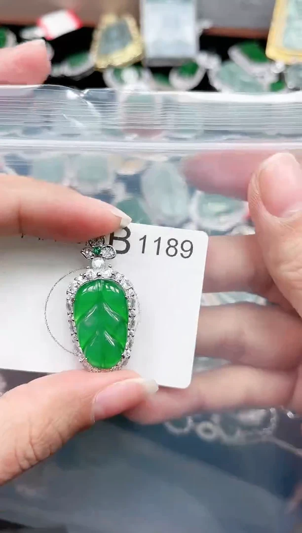 【闪购商品】翡翠颈饰未镶嵌赠皮绳1189
