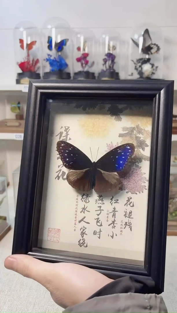 真实的大自然标本