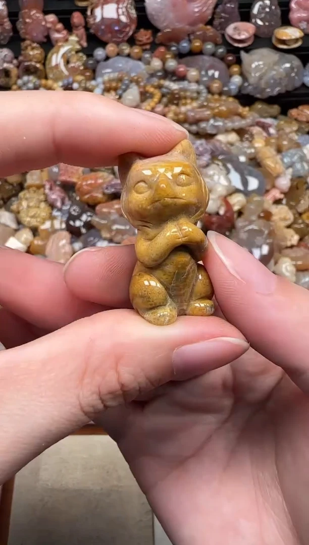 颈饰未镶嵌硅化珊瑚（珊瑚玉）081