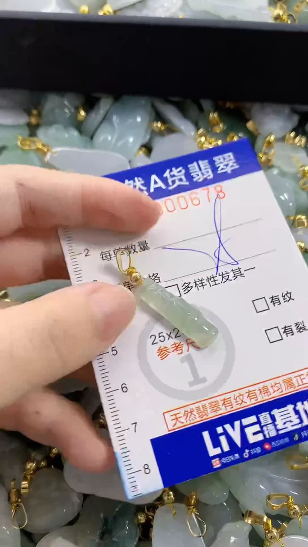 颈饰未镶嵌翡翠天然A货翡翠
