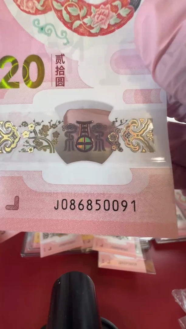 【闪购商品】塑料2025蛇钞啊啊啊啊啊单张裸