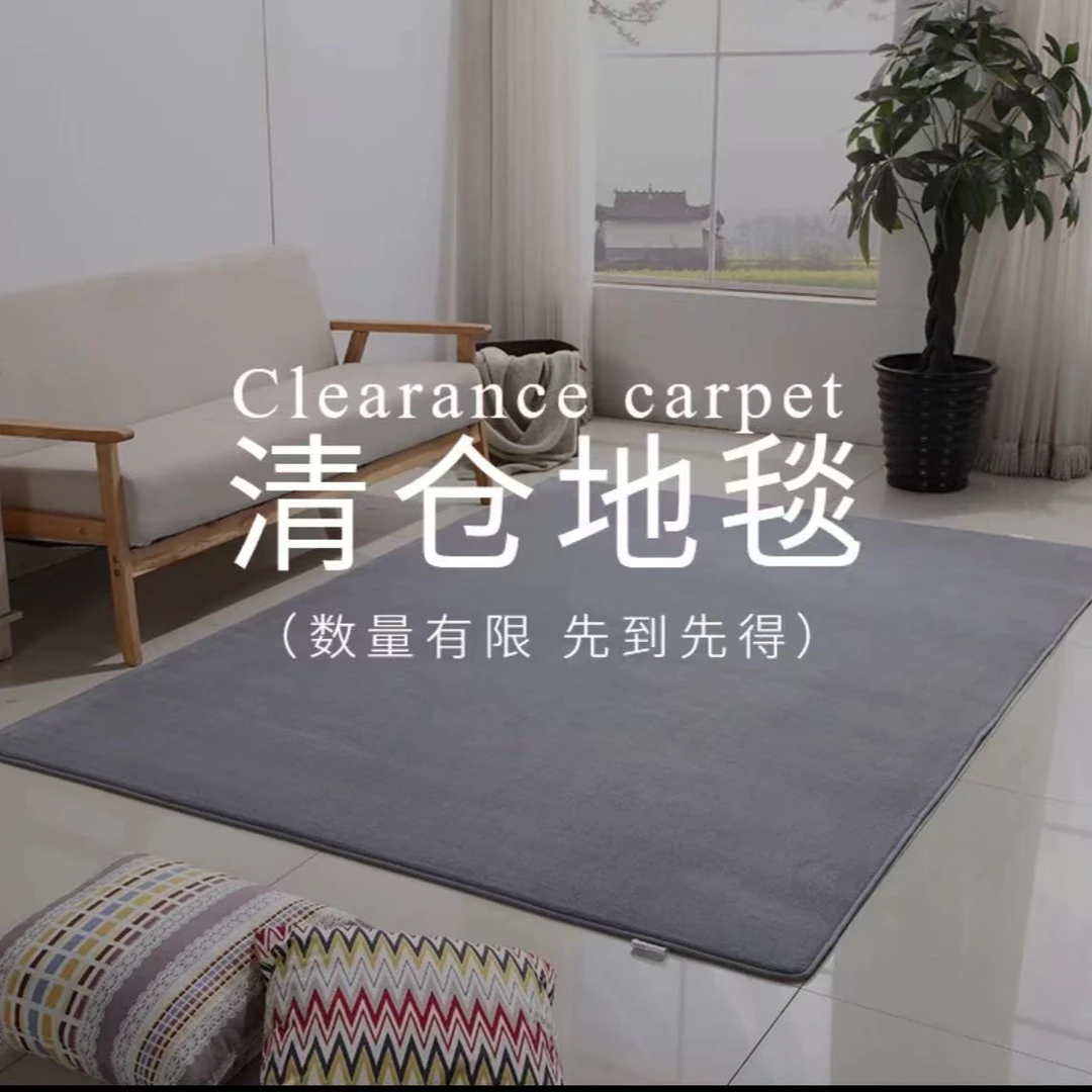 地毯客厅防水可擦茶几垫子现代轻奢奶油风家用地毯
