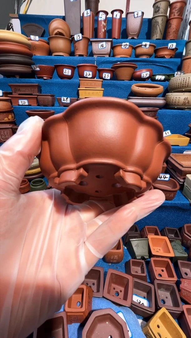 【闪购商品】紫砂紫砂花盆9.5*8.5*2.5