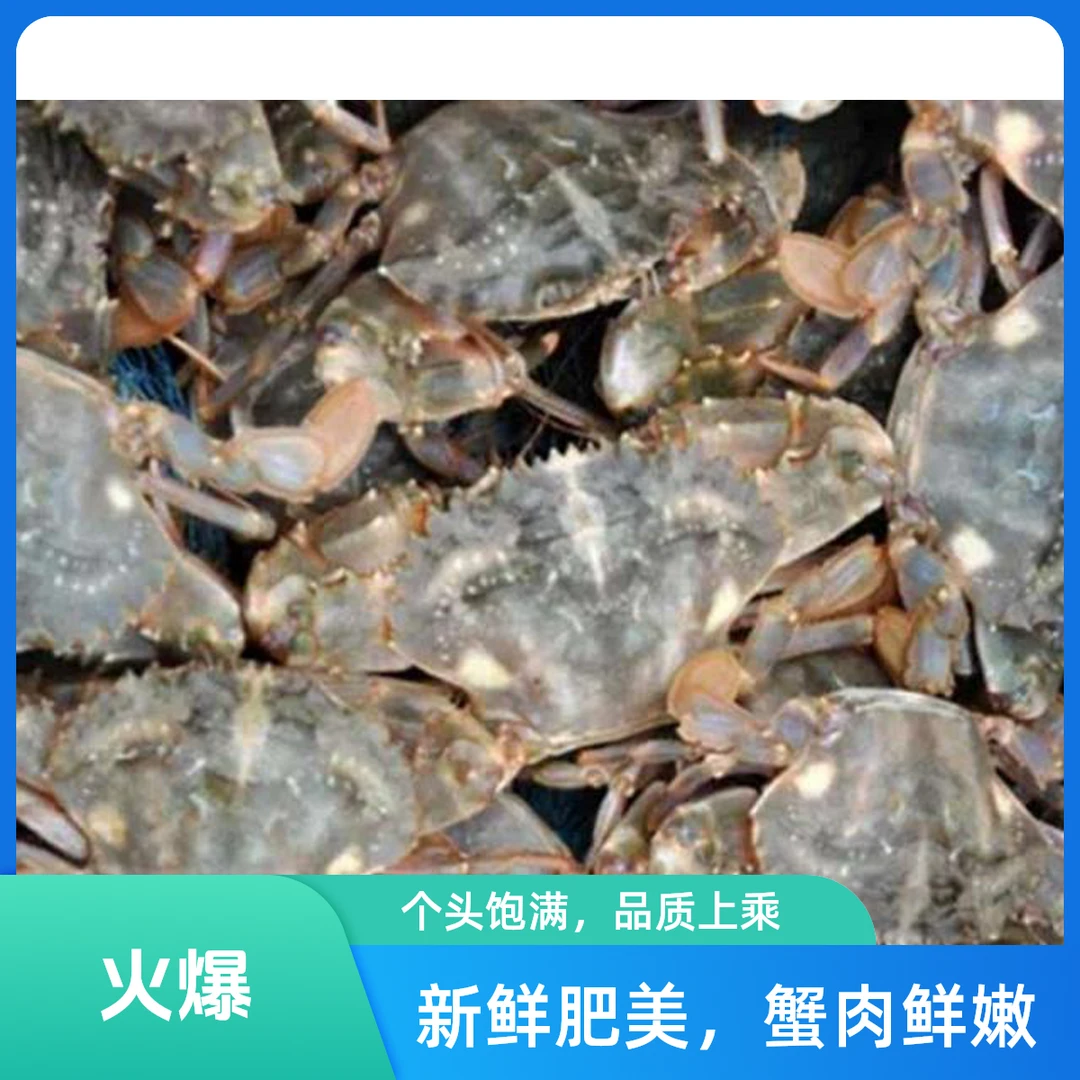 花盖蟹一斤10只左右保鲜不保活各别断腿多给两只螃蟹