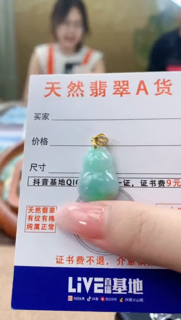 颈饰未镶嵌翡翠天然A货翡翠挂件