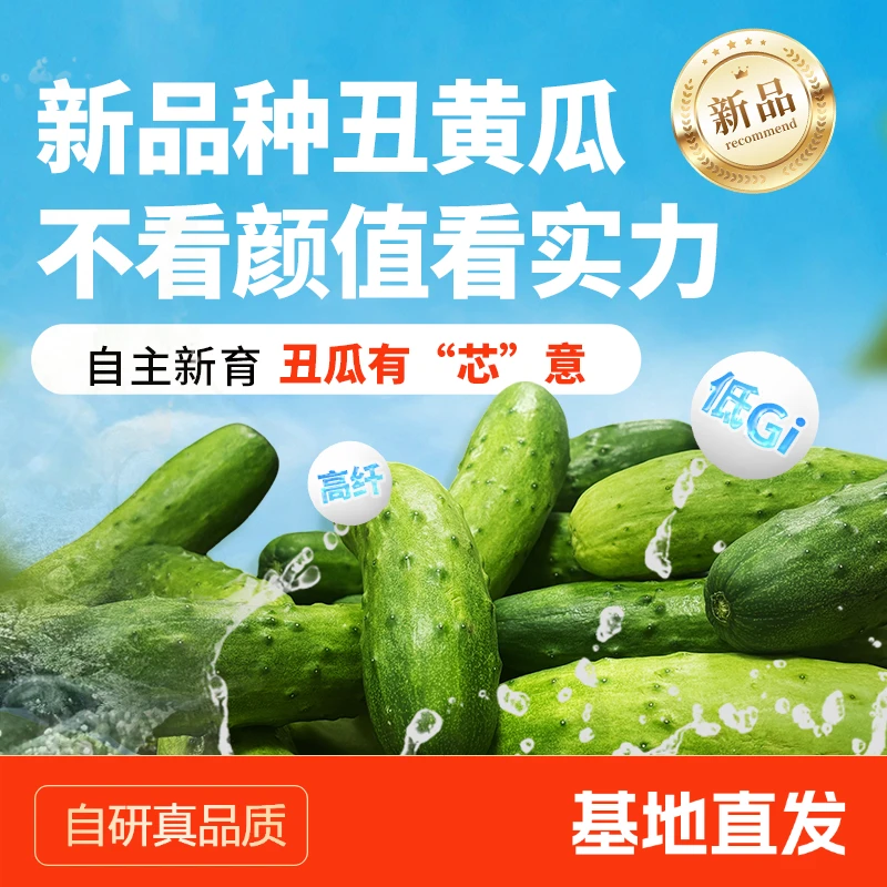 【太喜番™】新品种丑黄瓜3斤无土栽培生产基地直发