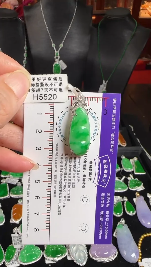 颈饰18K金镶嵌翡翠H5520富贵豆