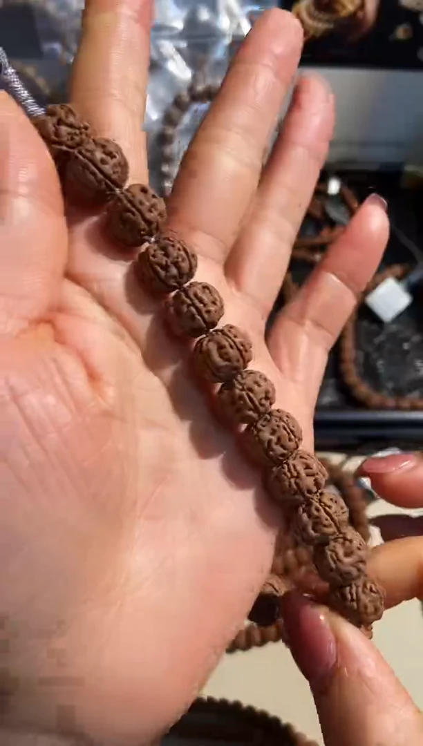 手串金刚菩提老树王13m