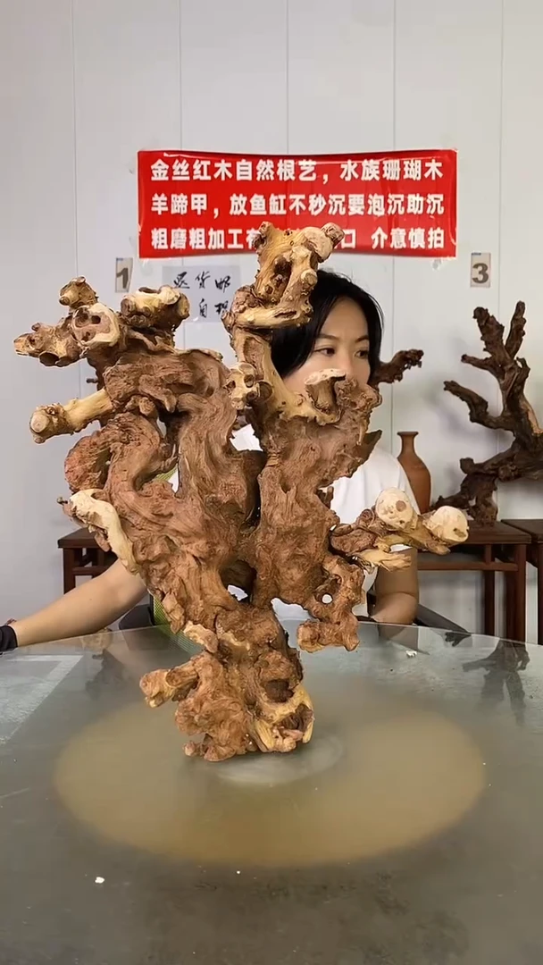 香榧木新****馆金丝红木   羊蹄甲