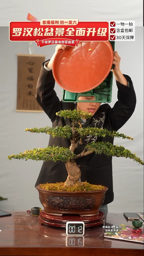 以实际为准专属于  大哥的闪购链接