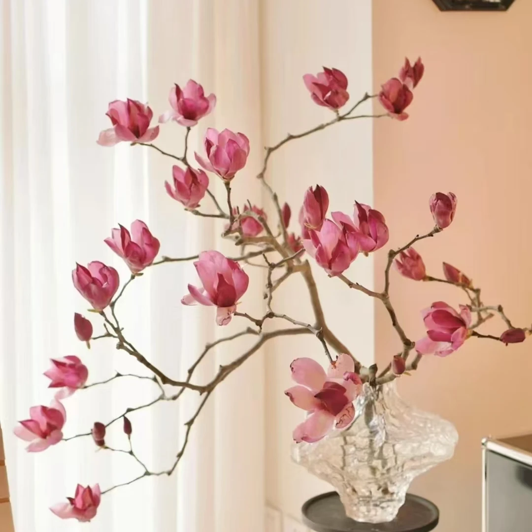 玉兰花鲜切花枝  水培植物  好养耐活  室内装饰  带花苞植物