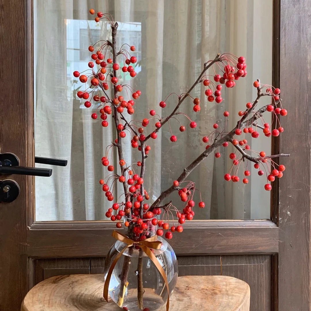 红宝石海棠果鲜切枝水培水培植物室内鲜花氛围感客厅红色鲜切花