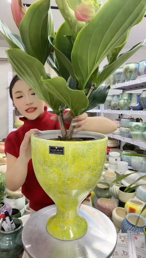 【11.22】直播链接  高度:  30.5  口径:   22