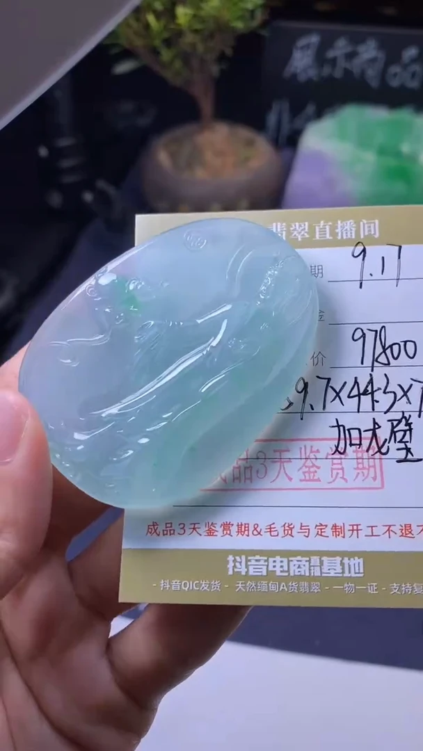 颈饰未镶嵌翡翠挂饰