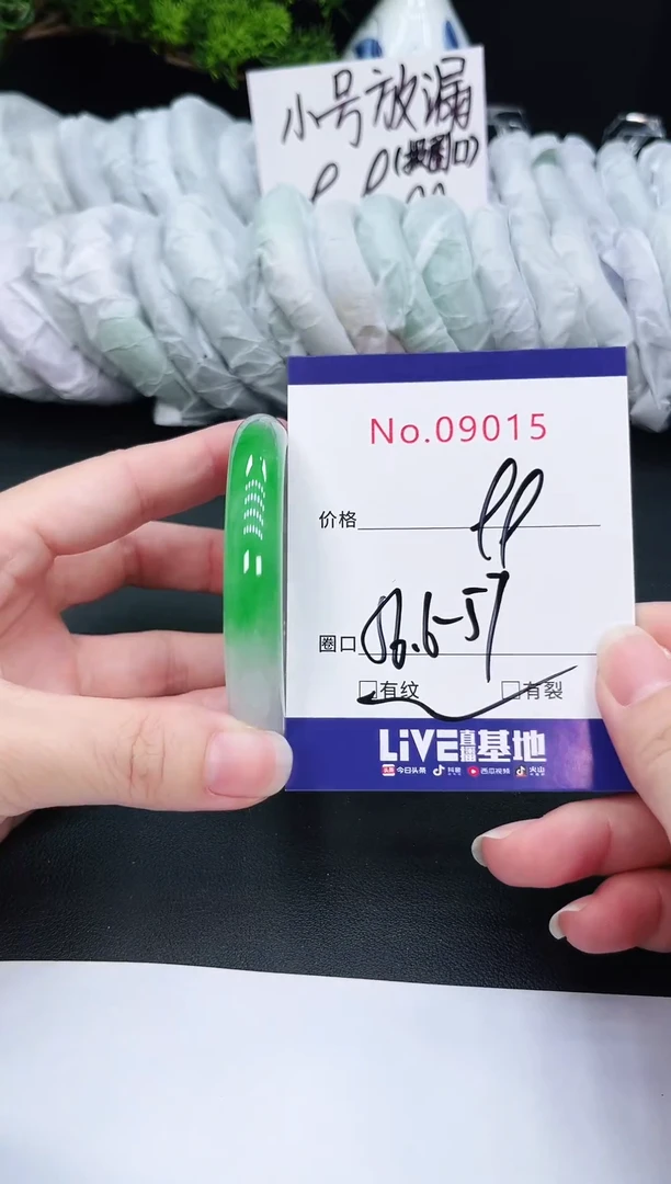 未镶嵌手镯翡翠9015