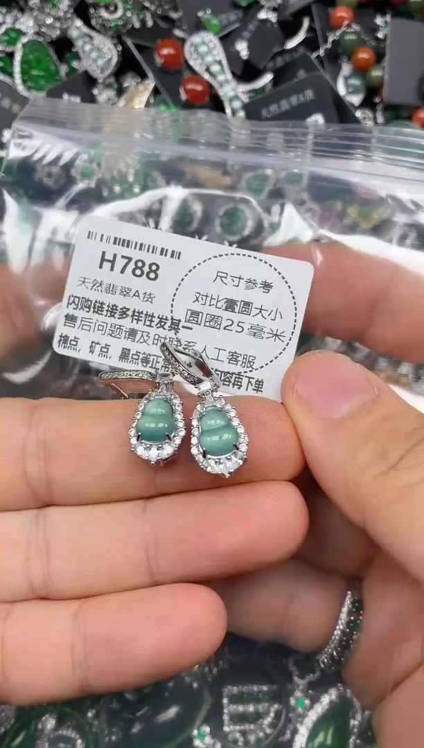 颈饰未镶嵌翡翠H788耳扣