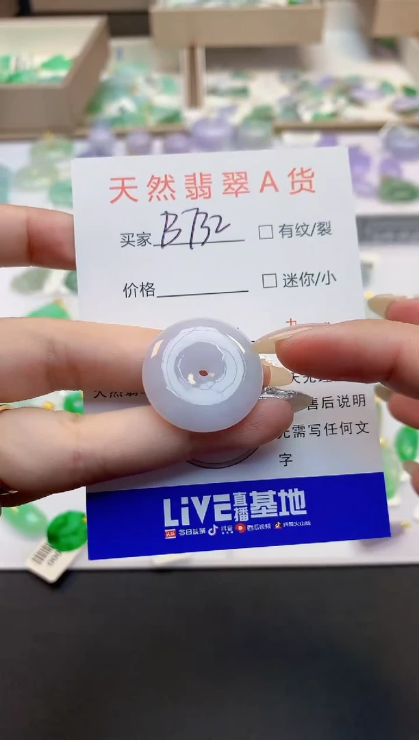 翡翠未镶嵌颈饰11111111