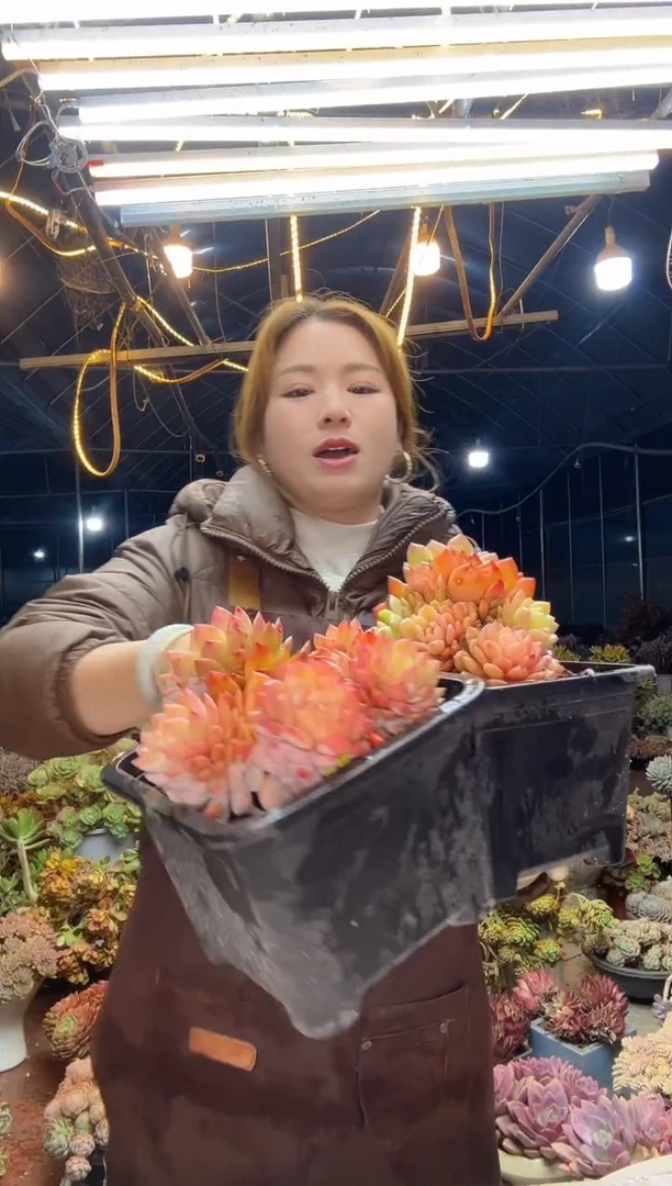 【闪购商品】星星橙脱土包邮