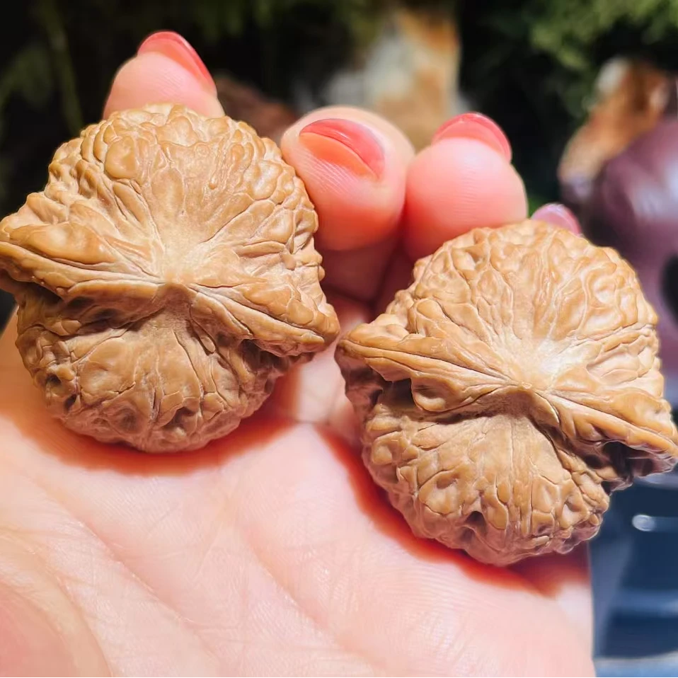 00191山地老树全品无修乾隆磨狮子头