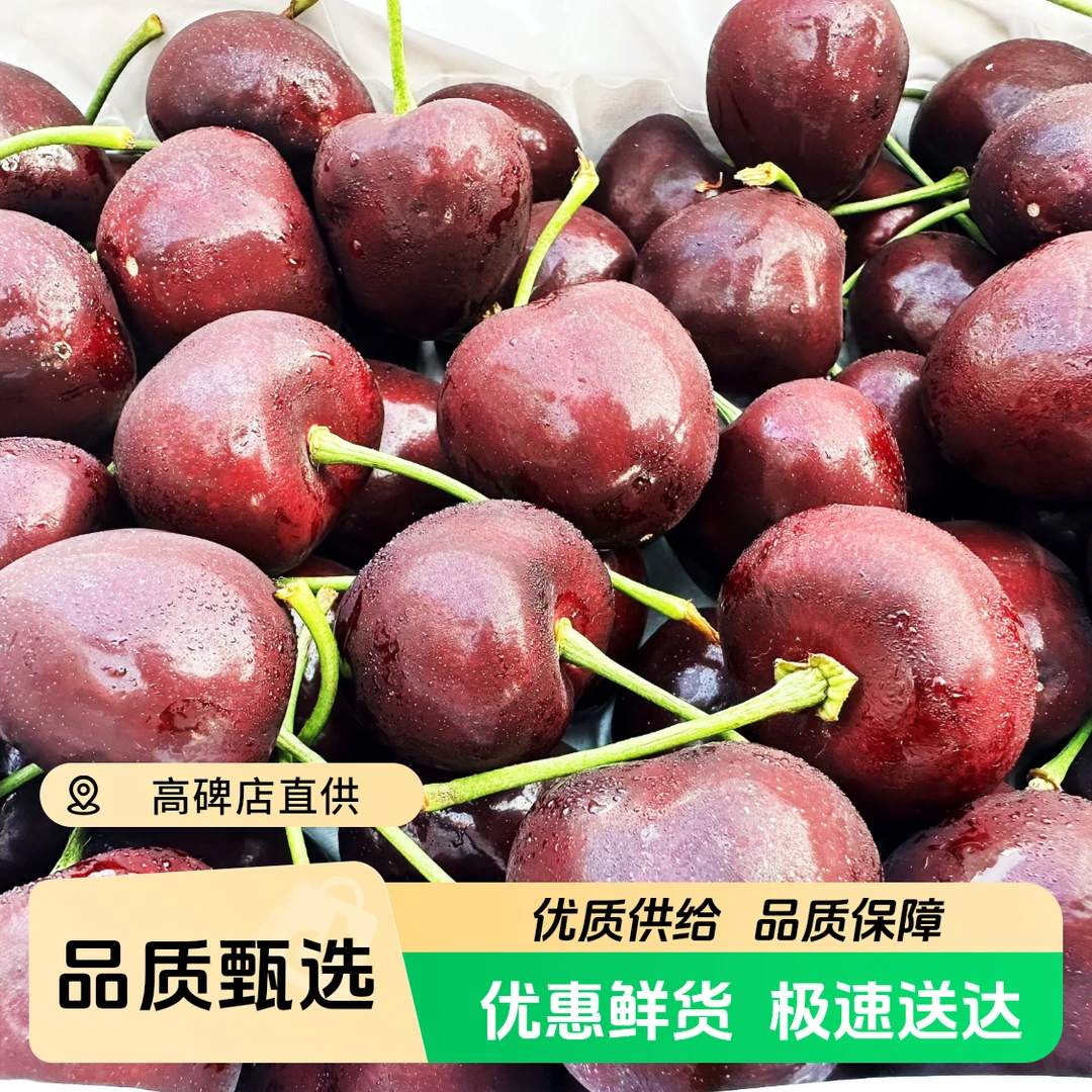 大连俄8樱桃 3JD 一礼盒净重2斤 坏果包赔 顺丰包邮俄罗斯8号樱桃