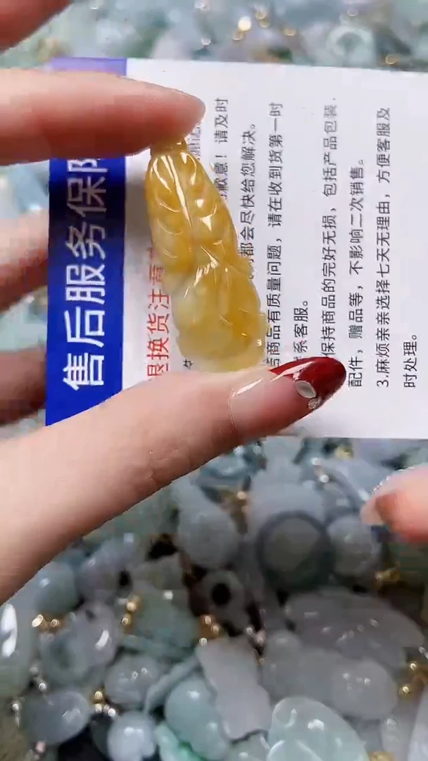 【闪购商品】翡翠颈饰未镶嵌闪购00007610
