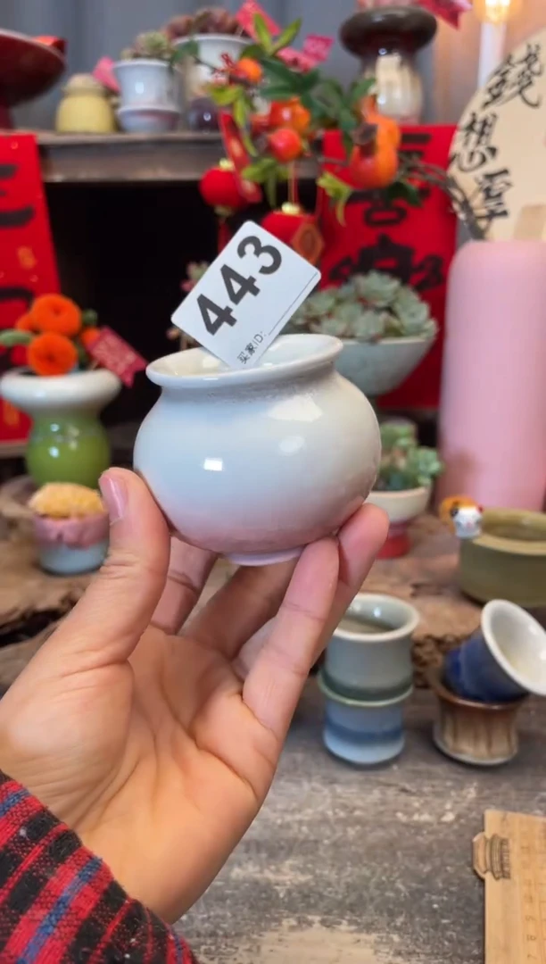 【闪购商品】摆件443知木小芳花盆