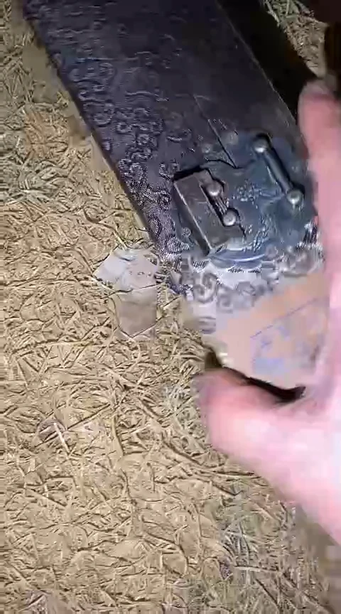 摆件一个【绍文甄选】