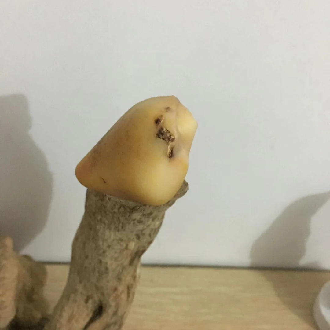 青海 新疆 内蒙戈壁石