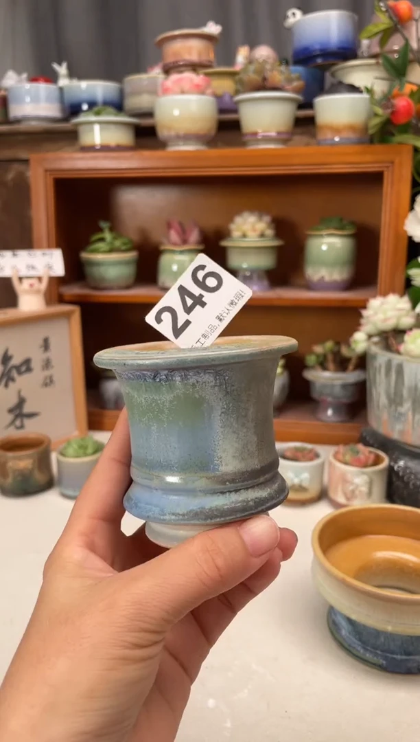瓷片246知木小芳花盆直播编号