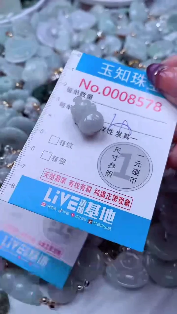 翡翠未镶嵌吊坠(不含链)8578
