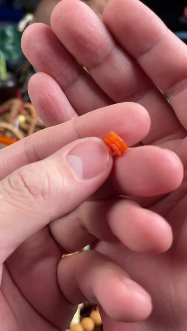 【闪购商品】南红玛瑙.未镶嵌王胖子文玩工作室南红羽毛（大）