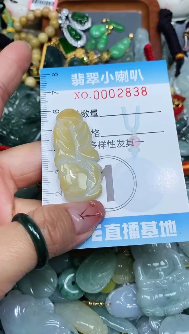 【闪购商品】翡翠颈饰未镶嵌闪购0002838