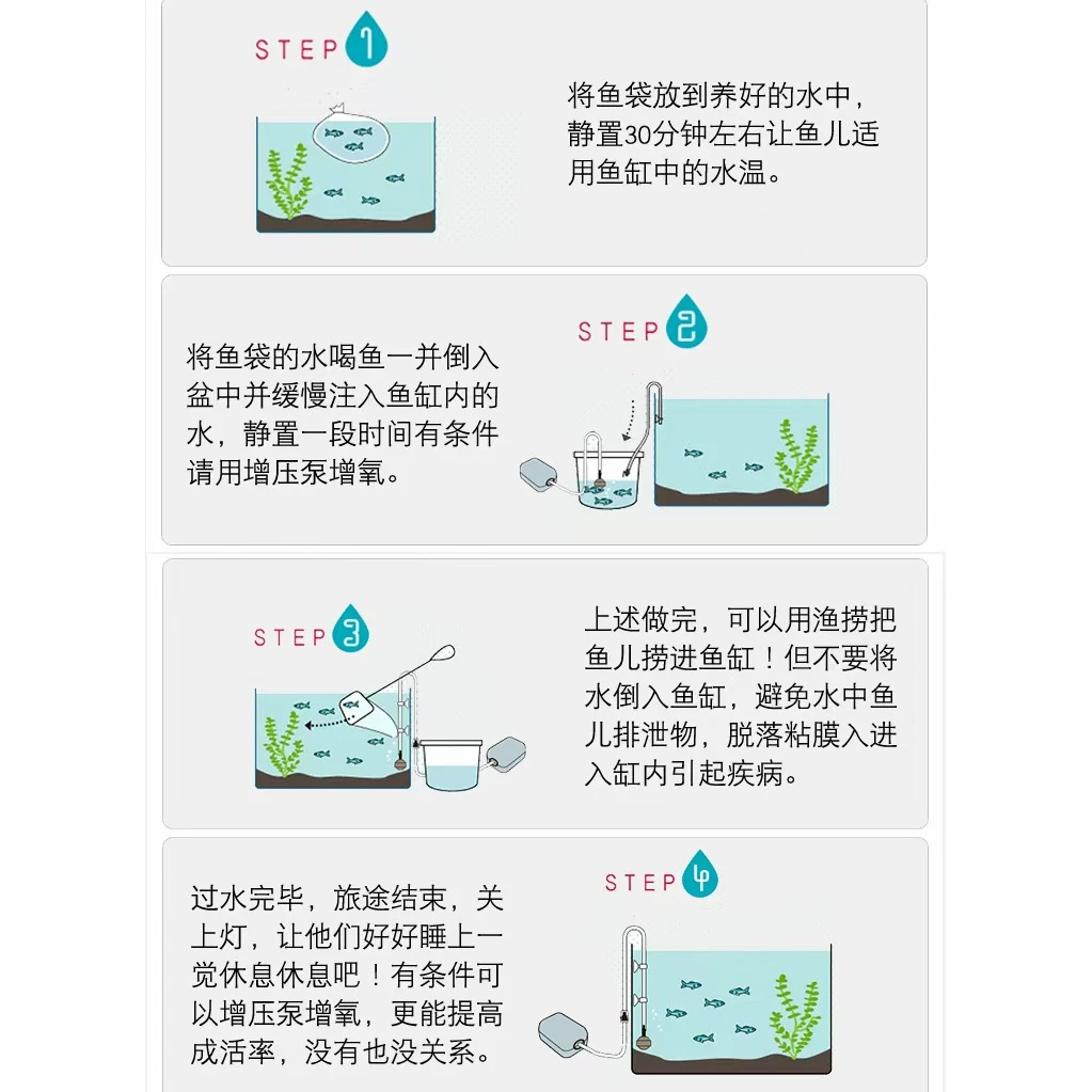 马鲷合集2条（8-10厘米）
