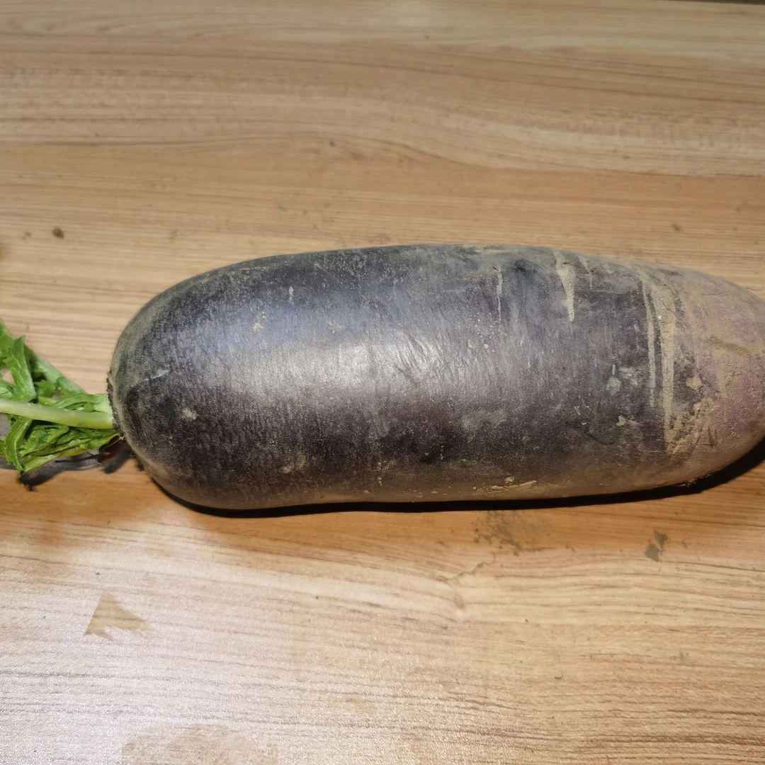 小北京专属紫皮冰淇淋萝卜沙窝萝卜5斤顺丰包邮