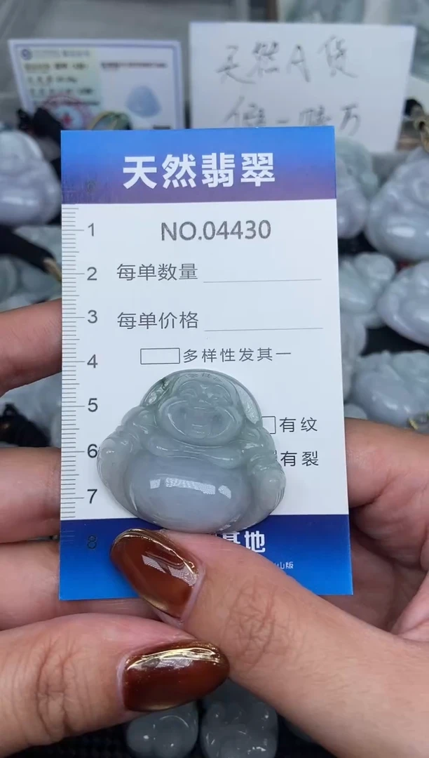 颈饰未镶嵌翡翠纯天然A货翡翠4430