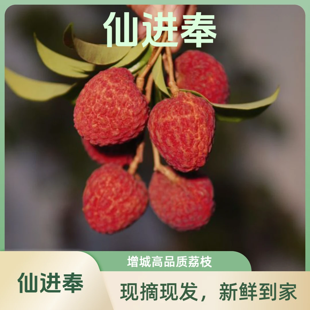 【省内EMS包邮】广州增城仙进奉荔枝