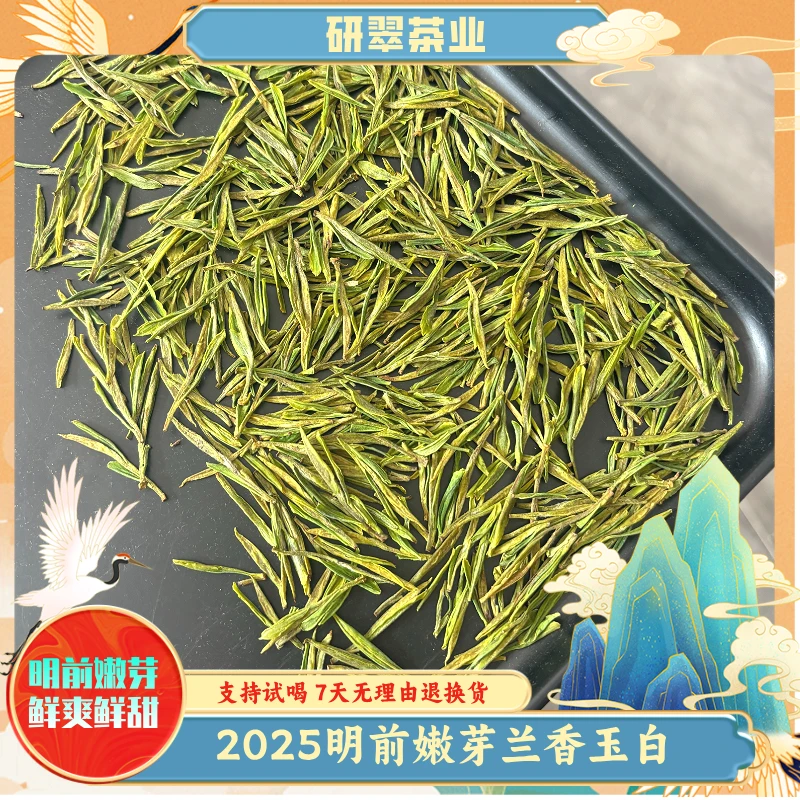 【2025新茶】A97明前嫩芽 高山绣花针 高海拔产区 甄稀白茶 茶礼A