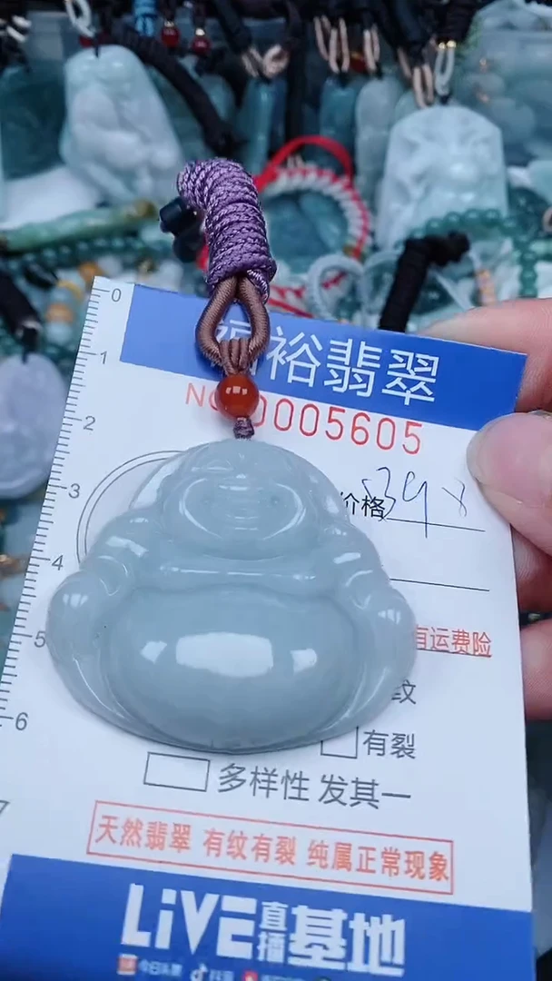 【闪购商品】翡翠颈饰未镶嵌...0005605