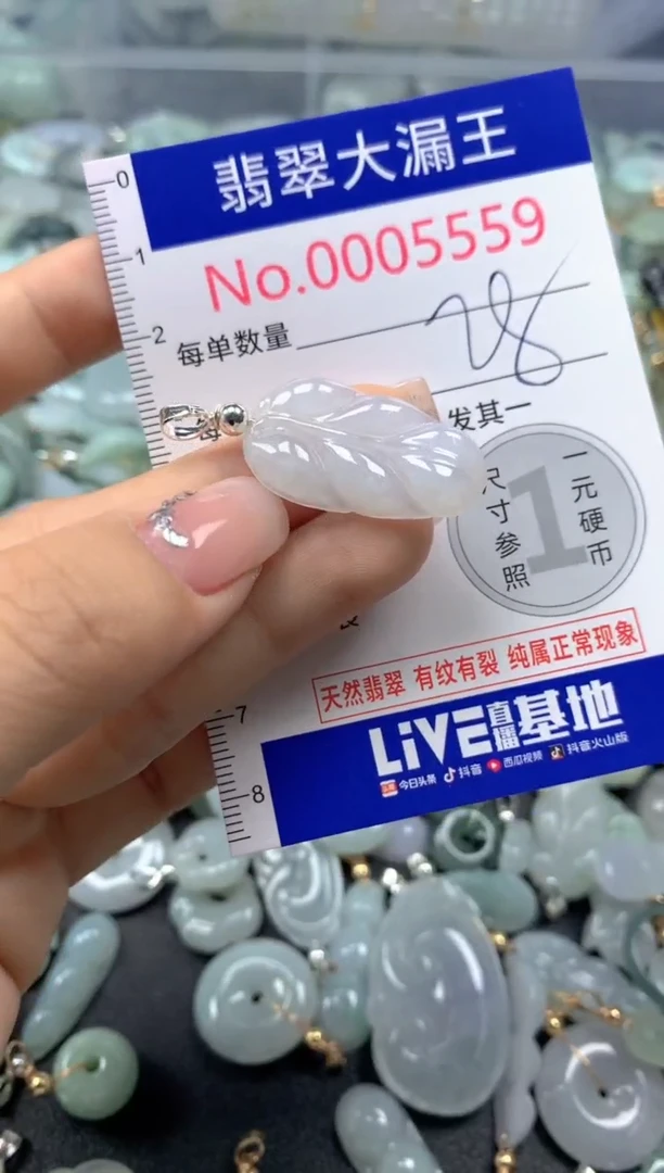 颈饰未镶嵌翡翠5559