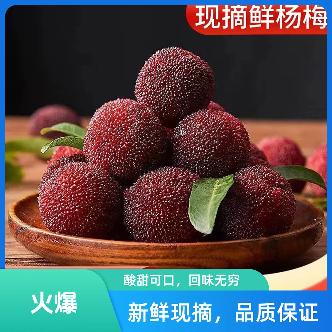 正宗仙居荸荠杨梅黑炭梅鲜果新鲜孕妇当季时令水果现摘现发3斤6斤颗粒装新鲜杨梅浙江省