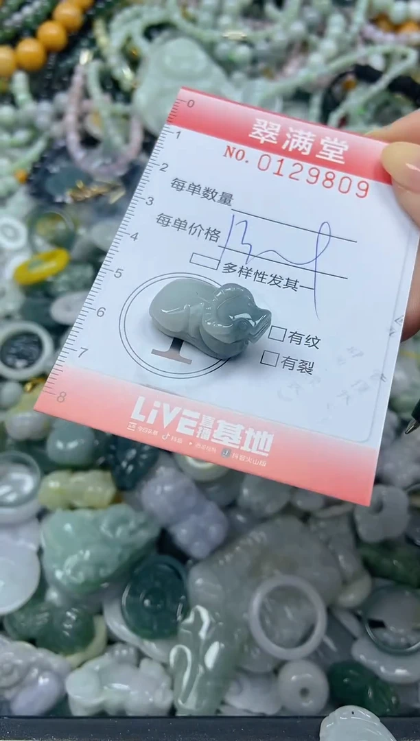 颈饰未镶嵌翡翠闪购0129809