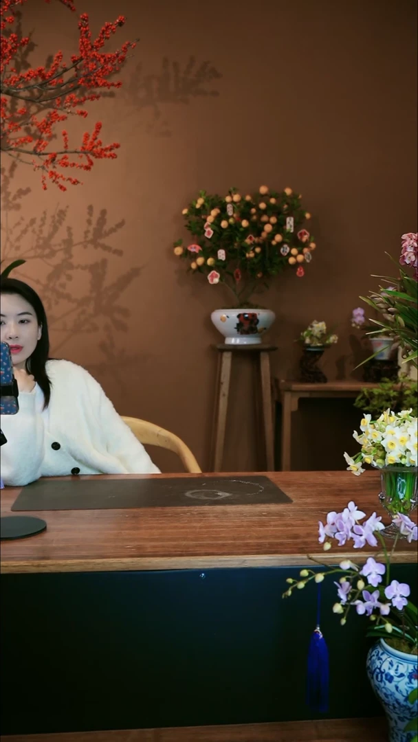 【闪购商品】盆景大金橘