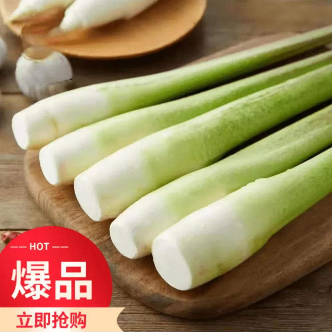 青浦练塘新鲜茭白