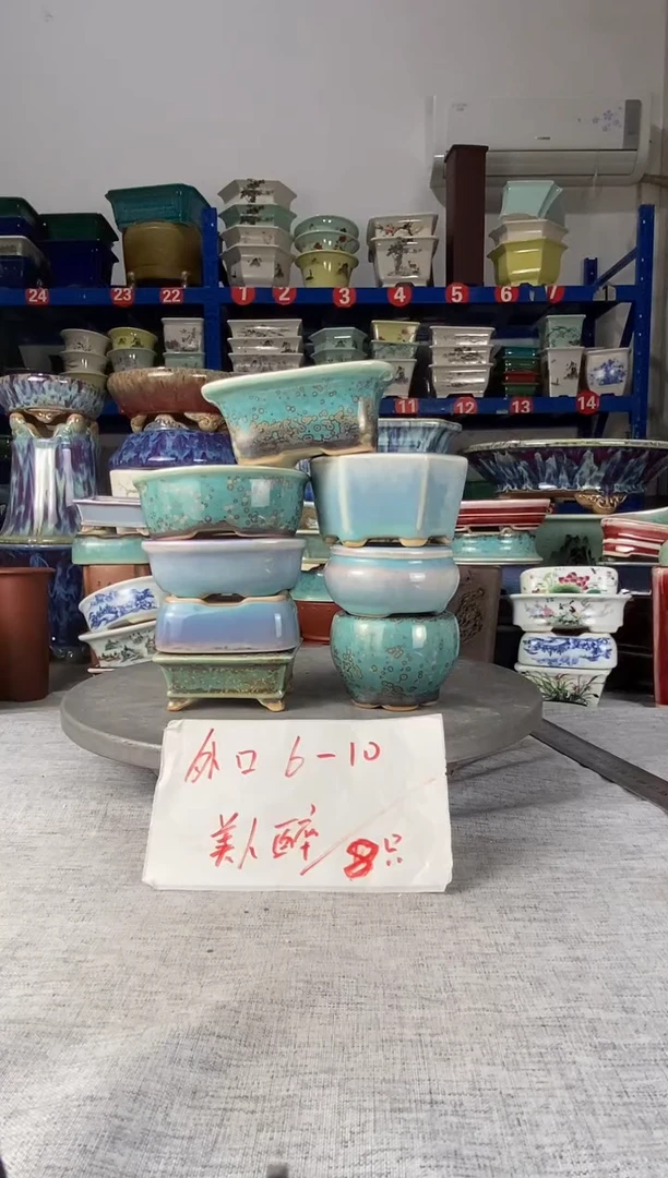 252723八只小美人醉