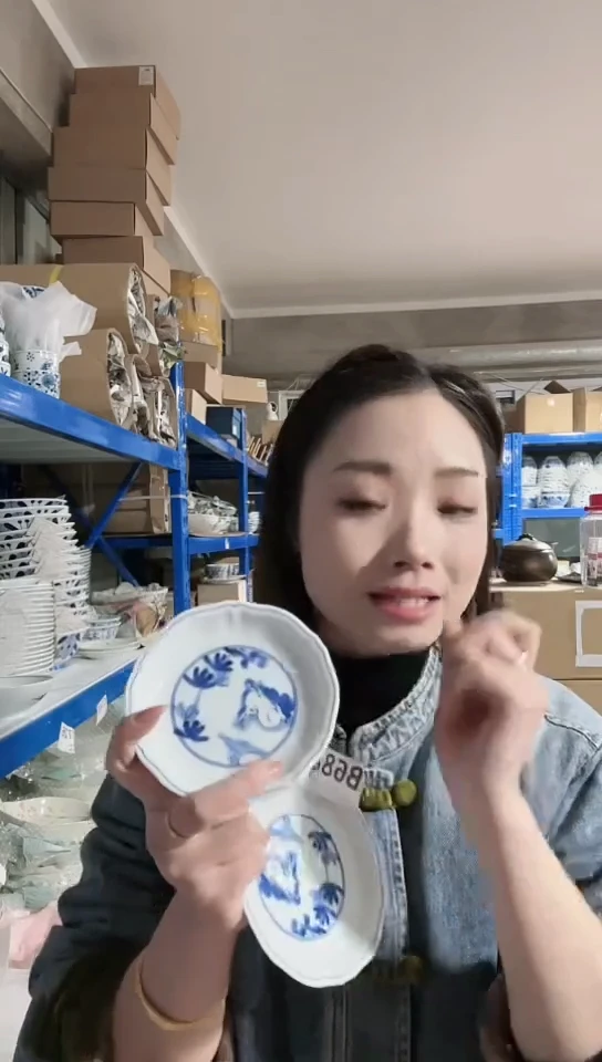 【闪购商品】瓷片日本进口瓷器12cm碟两只B688
