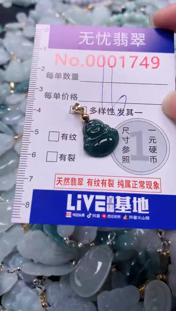 颈饰未镶嵌翡翠1749