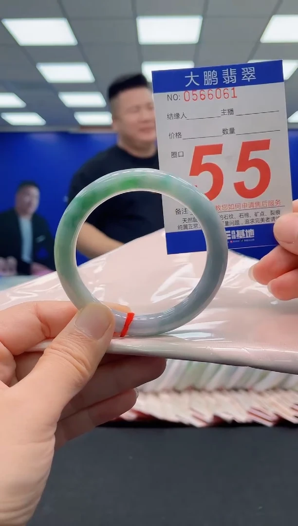 未镶嵌手镯翡翠AAAAAAAAA