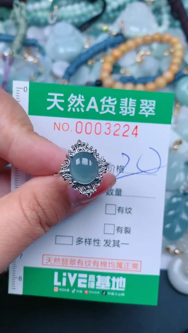 【闪购商品】翡翠颈饰未镶嵌.0003224