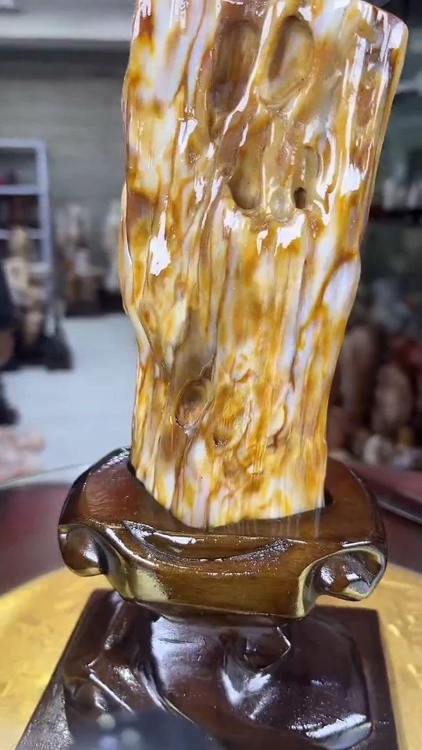 硅化玉珠宝奇石未镶嵌缅甸天然树化玉摆件