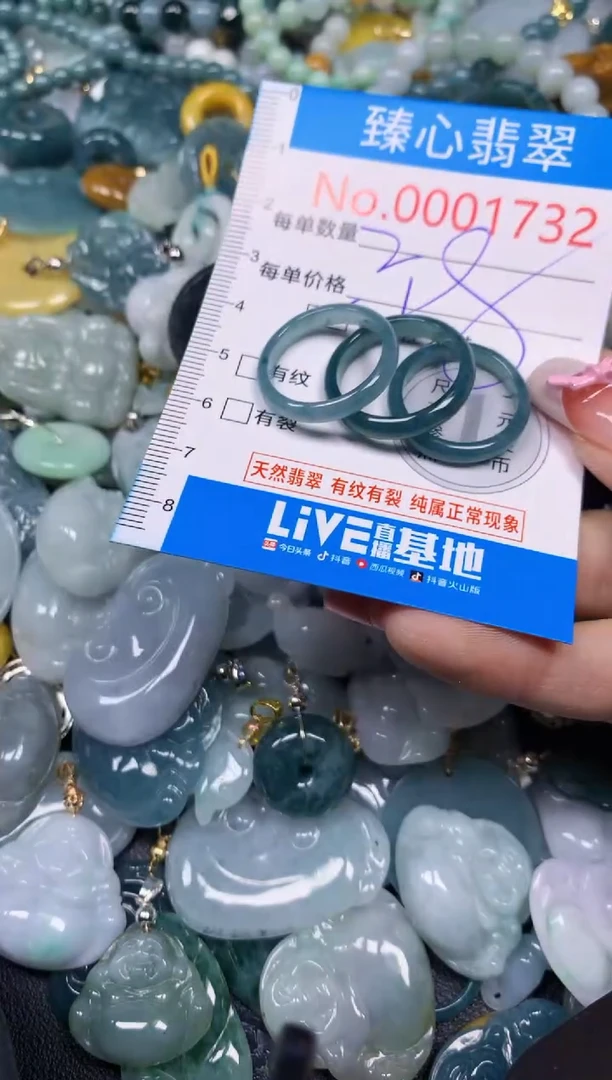 【闪购商品】翡翠颈饰未镶嵌含绳0001732